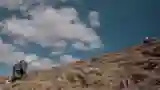 Gold of the Plateau