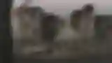 Long Take
